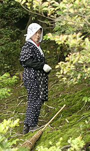 Japanese Lady